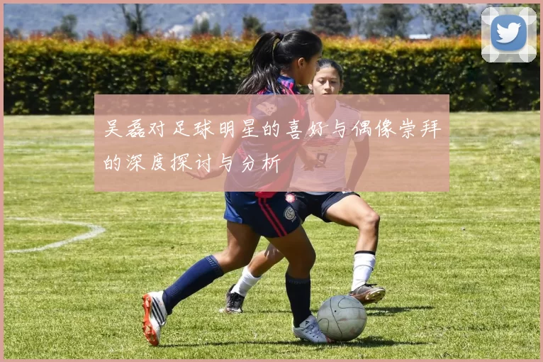 吴磊对足球明星的喜好与偶像崇拜的深度探讨与分析