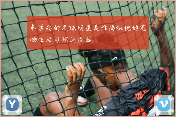 养黑狗的足球明星是谁揭秘他的宠物生活与职业成就